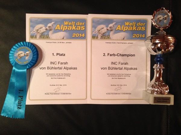 Inca Farah Bühlertal Alpakas 1. Platz und Reserve Champion 2014 